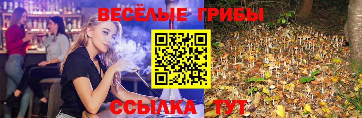 Галлюциногенные грибы MAGIC MUSHROOMS Усть-Лабинск